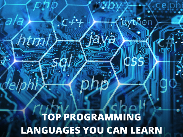 Top Programming Languages You Can Learn In 2024