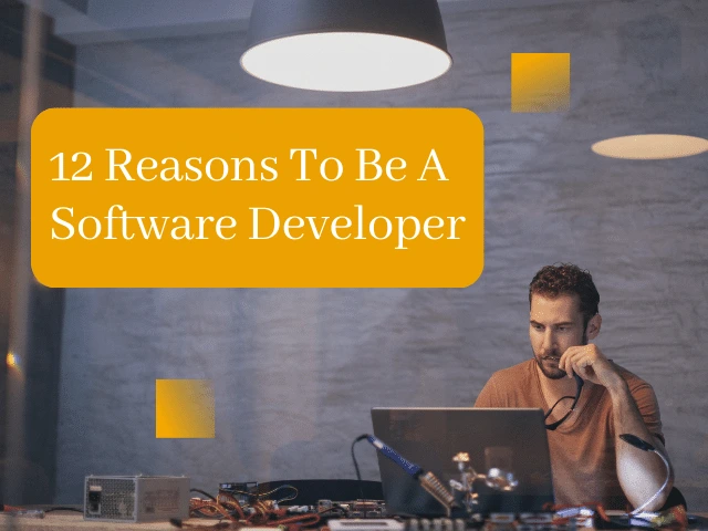 12 Reasons To Be a Software Developer