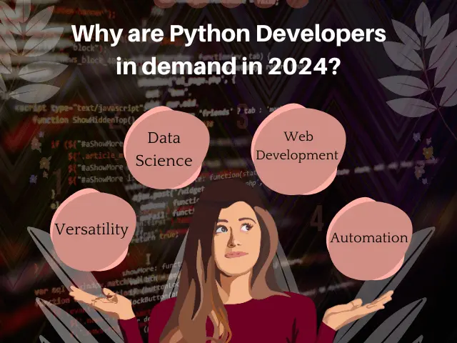 Python developer